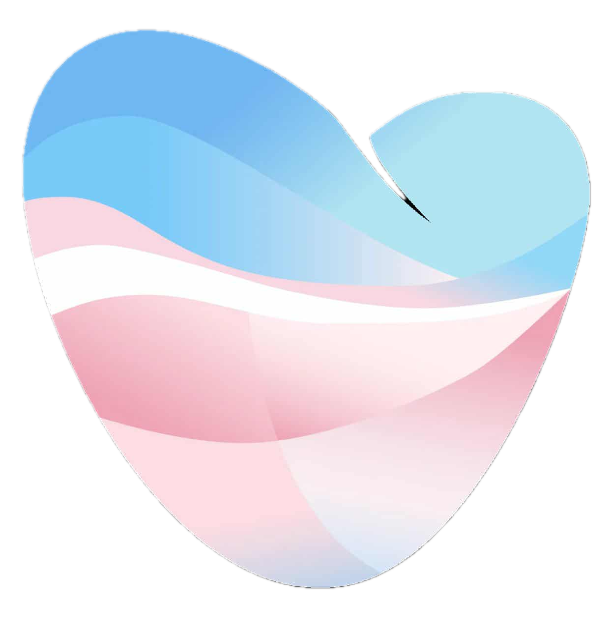 Safe Haven - Cornwall